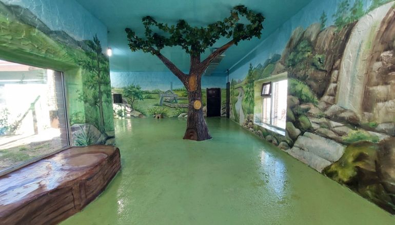 Амурский тигр отпраздновал новоселье в нижегородском &laquo;Лимпопо&raquo; - фото 2